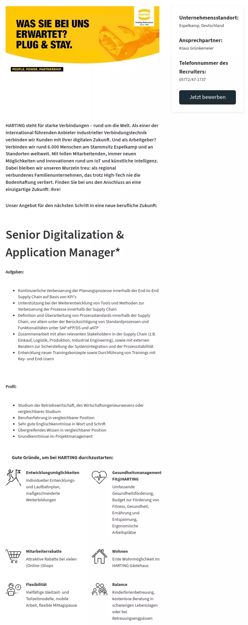 Senior Digitalization & Application Manager*