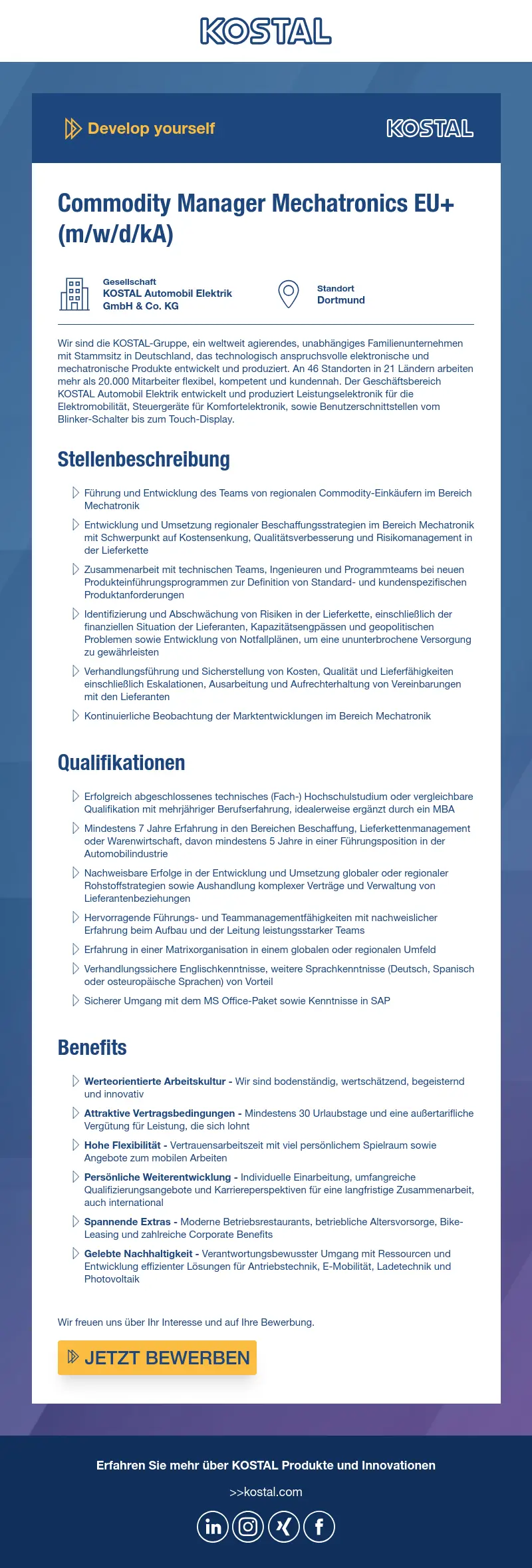 Commodity Manager Mechatronics EU+ (m/w/d/kA)